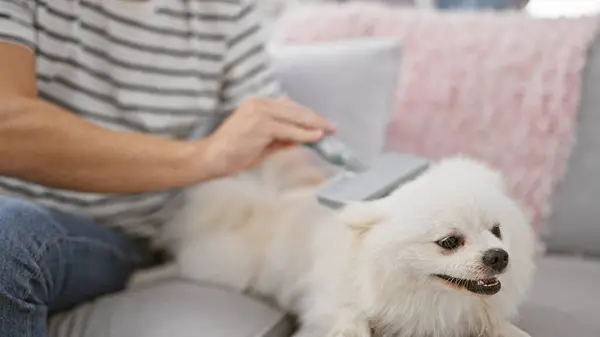 Handsome young caucasian man uses sticky roll stick at home, sitting on sofa in living room, to clean pet dog\'s hair fur, removal from textile fabric, indoors animal hair cleaner.