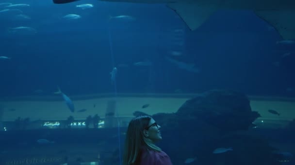 Esmer Bir Kadın Dubai Deki Sualtı Ortamında Balıklarla Dolu Büyük — Stok video