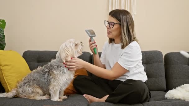 笑顔の女性は居心地の良いリビングルームでソファーに彼女の犬をブラッシングし 友情とペットケアを紹介 — ストック動画