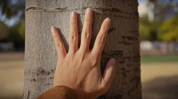 Close-up of a man\'s hand touching a tree trunk outdoors, symbolizing human connection with nature.