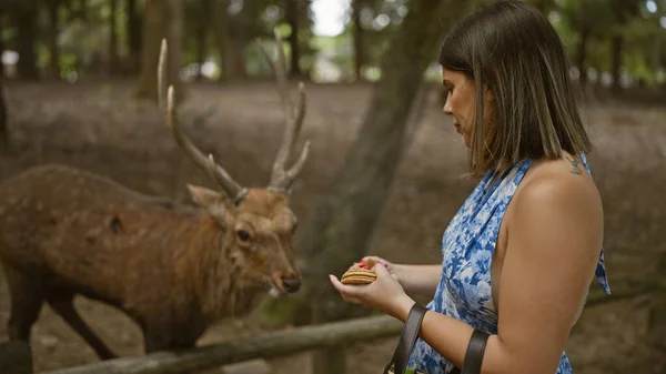 Beautiful Young Hispanic Woman Feeding Rice Crackers Deer Nara — Stock Photo, Image