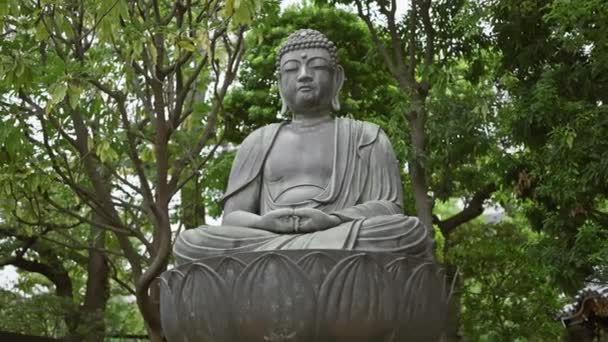 Uma Estátua Serena Buddha Medita Meio Uma Vegetação Exuberante Tranquilo — Vídeo de Stock