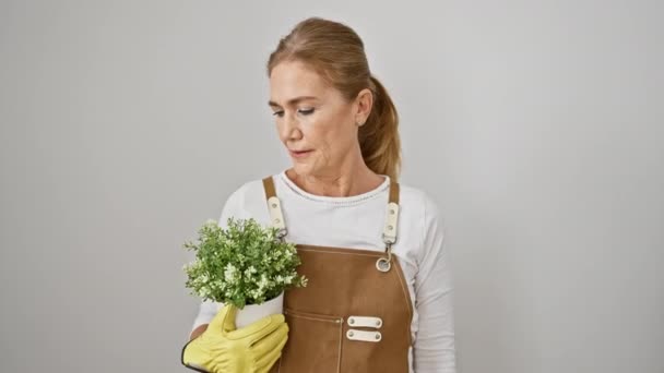 中年ブロンド花屋の女性 イライラし 狂った怒りに叫び 手を挙げて怒鳴り 孤立した白い背景の上に植物の鍋を保持 — ストック動画