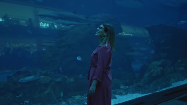 Kvinna Beundrar Marint Liv Ett Akvarium Tank Njuta Turism Dubai — Stockvideo