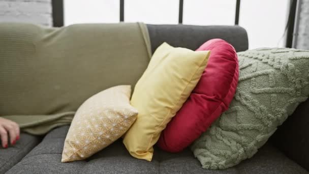 居心地の良いリビングルームの快適なソファーに安らかに眠り リラクゼーションと国内の静けさを呼び起こします — ストック動画