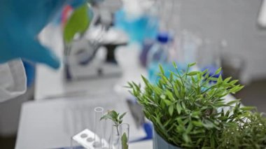 Bilim adamı, araştırma ve analize odaklı modern bir laboratuvar ortamında petri kabında yaprak inceliyor.