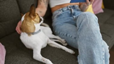 Kot pantolonlu genç bir kadın koltukta oturmuş kitap okuyor yanında Jack Russell köpeği, rahat bir iç mekan ayarını vurguluyor..