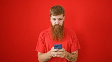 Odaklanmış kızıl saçlı adam akıllı telefona mesaj atıyor, kırmızı arka planda ciddi bir yüz var.