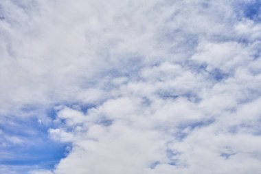 Pofuduk beyaz bulutlar, dingin ve sakin bir gündüz sahnesinde canlı mavi gökyüzü boyunca yayılıyor..