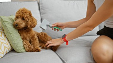 Evde köpek kılı tarayan beyaz bir kadın.