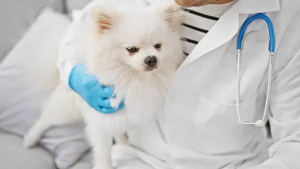 一个有爱心的年轻的高加索人 一个专业兽医 检查他可爱的生病的小狗的健康 坐在沙发上 体现了温暖的室内环境 — 图库照片