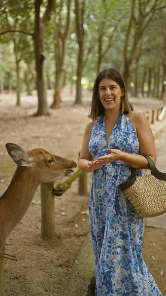 stock image Cheerful, beautiful hispanic woman joyfully feeding cute deer with snack crackers at the popular nara park in japan, delighting in the unique culture and wildlife attraction outdoors!