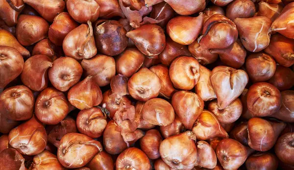Close View Fresh Organic Bulbs Garlic Piled Together Market — Stock Photo, Image