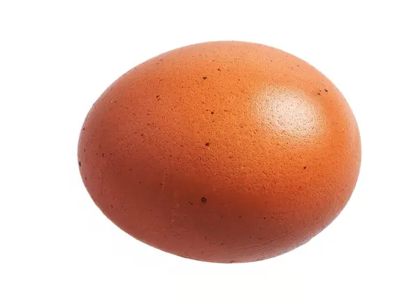 Beyaz Arka Planda Izole Edilmiş Tek Bir Kahverengi Tavuk Yumurtası — Stok fotoğraf