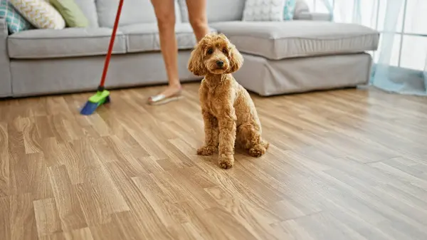 Young caucasian woman with dog cleaning floor at home