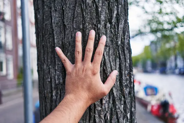 A man\'s hand touches the rough bark of a tree in an urban setting with a canal visible in the background.