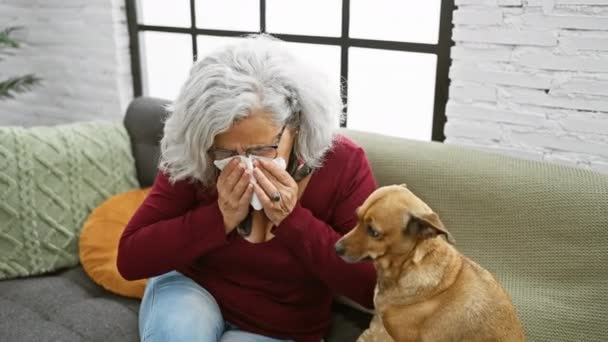 Wanita Tua Bersin Dengan Tisu Sofa Sementara Anjing Yang Perhatian — Stok Video