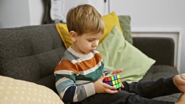Copilul Caucazian Rezolvă Cubul Rubik Colorat Canapea Camera — Videoclip de stoc