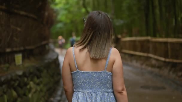 안경에 히스패닉 우연히 교토의 고요한 대나무 무성한 환경에서 측면을 — 비디오