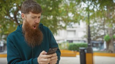 Sakallı, şaşkın kızıl saçlı bir adam şehir parkında telefonuna bakıyor..