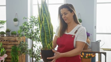 Kırmızı önlüklü bir kadın iyi ışıklandırılmış bir odada ev dekorlu bir yılan bitkisini dikkatle inceliyor.