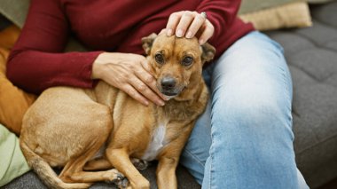Sıcak bir oturma odasında, sıcak bir kanepede sadık kahverengi köpeğine sarılan olgun bir kadın.