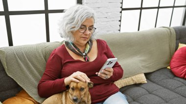 Olgun bir kadın evinde rahat bir oturma odasında rahat bir kanepede akıllı telefonunu karıştırırken köpeğini okşuyor..