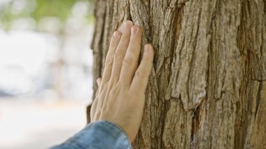Bulanık doğa ortamında bir erkek elinin ağaç gövdesine dokunuşunun yakın çekimi..