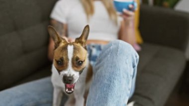 Sarışın bir kadın, mavi bir kupa, gösterişli bir arkadaş ve rahat bir ev atmosferi tutarken teriyer köpeğini koltukta kucaklıyor..