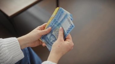 Bir kadının elleri kapalı mekandaki Macar fortinlerini sayarken, finans ve tasarrufları resmediyordu..
