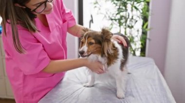 Pembe önlüklü genç bir İspanyol kadın veteriner kliniğinde gülümseyen bir köpeği muayene ediyor..
