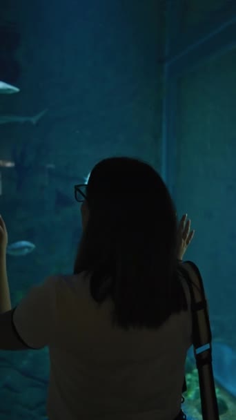 Silhouette Woman Observing Sharks Swimming Dimly Lit Underwater Aquarium Setting — Stock Video