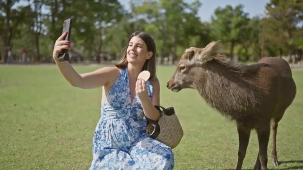 Alegre Hermosa Mujer Hispana Alimenta Galletas Ciervos Tomando Una Selfie — Vídeos de Stock