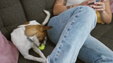 Dövmeli bir kadın evde rahat bir kanepede dikkatli köpeğinin yanında gündelik akıllı telefonlardan hoşlanır..