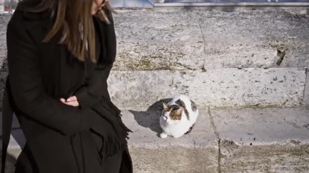 Brunetka Černém Plášti Interaguje Kočkou Prastarém Kamenném Schodu Istanbulu Vyzařuje — Stock video