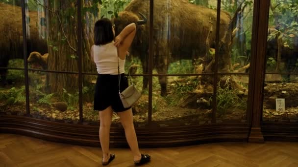 Młoda Piękna Latynoska Kobieta Odwiedzająca Wystawę Historii Naturalnej Muzeum Historii — Wideo stockowe