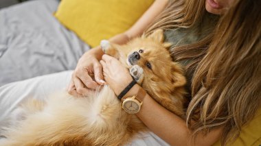 Güzel bir kadın köpeğine dokunuyor. Yatak odasında uzanmış yetişkin ellerinin portresi. Evcil hayvanı içeride tutuyor.