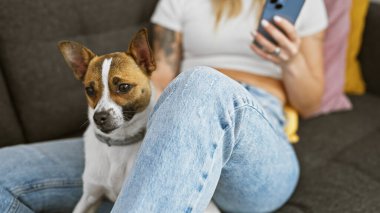 Uyanık köpeğiyle akıllı telefon kullanan genç bir kadın kapalı bir koltukta yanında oturuyor..