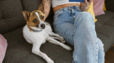 Dövmeli bir kadın, güzel Jack Russell teriyeri ile gri bir kanepede vakit geçirir..