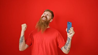 Neşeli genç kızıl saçlı adam zaferini telefonundan kutluyor. Kırmızı arka planda izole bir şekilde.