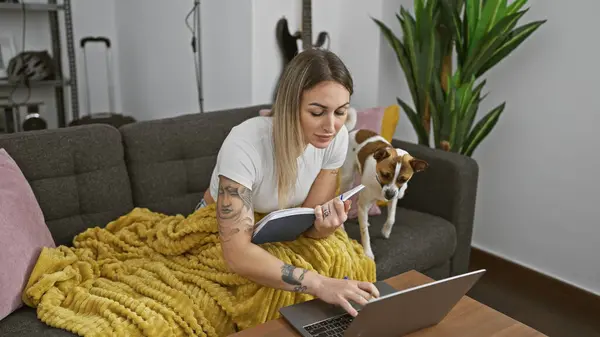 Nuori Nainen Työskentelee Läppärillään Kotona Jack Russell Terrieri Vierellään Kapseloimalla kuvapankkikuva