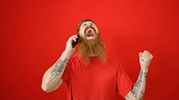 孤立した赤い背景で電話で話している間 エクスタシーに祝う楽しさの若い赤毛の男 ロイヤリティフリーのストック画像