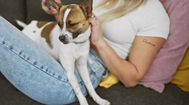 Beyaz kadın, Jack Russell Terrier köpeğini evdeki bir kanepede akıllı telefon kullanarak okşuyor.