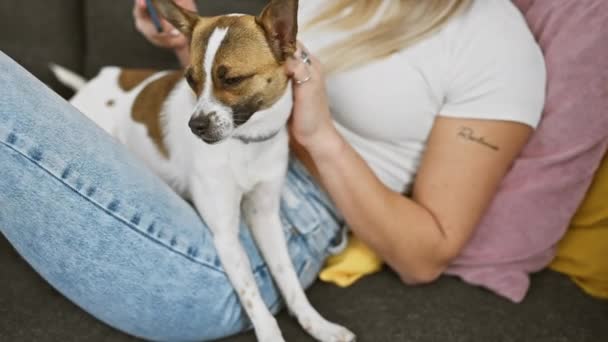 Caucásico Mujer Acariciando Gato Russell Terrier Perro Mientras Utiliza Teléfono — Vídeo de stock