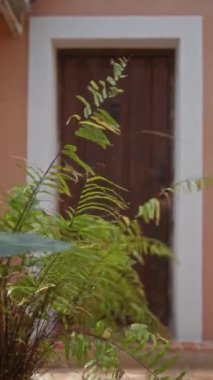 Eğreltiotları, eski bir ev girişinin cazibesiyle doğayı birleştiren kırsal ahşap bir kapı çerçeveler..