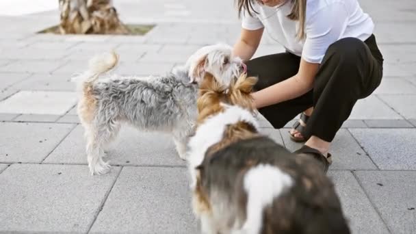 Uma Jovem Envolve Com Cães Brincalhões Uma Rua Urbana Cidade — Vídeo de Stock