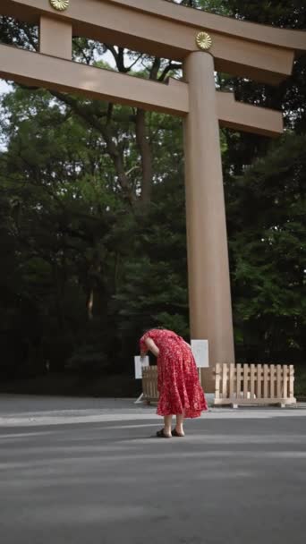 Okouzlující Okamžik Krásné Hispánské Ženy Brýlemi Pokorně Klanějící Tokyově Uctívaném — Stock video