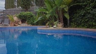 Havuz, güneş şapkası, çanta, sandalet ve rahatlamanın özünü yakalayan lüks yapraklarla tropikal eğlence sahnesi..