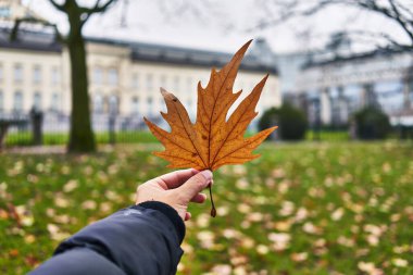 Avrupa 'nın bulanık binası ve bahçe arkaplanı ile erkekler sonbahar yaprağını ön planda tutuyor.