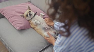 Bir kadın içeriğindeki chihuahua 'yı evin içinde bir kanepede okşar, arkadaşlığı ve evde rahatlığı somutlaştırır..